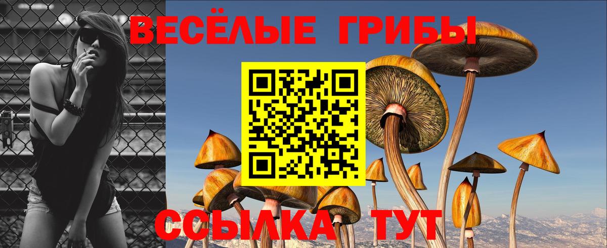 Псилоцибиновые грибы Magic Shrooms  Вход с VPN  Псилоцибиновые грибы прущие грибы  Чебоксары 